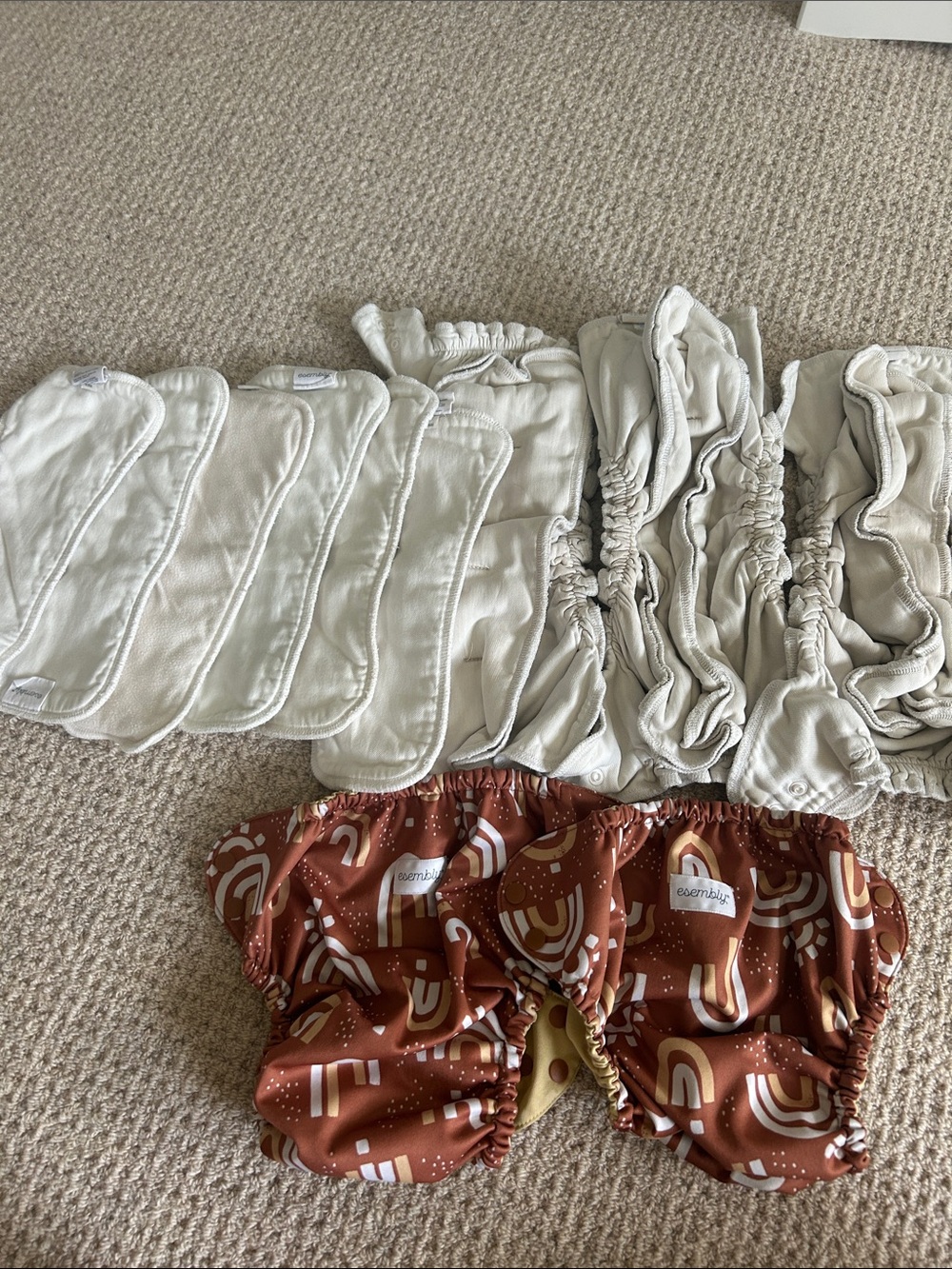 Esembly Diapers- 2 shells and 3 snap cloth diapers 6 liners